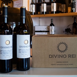 Caja 6 Botellas Divino Rei Blanco - Imagen 1