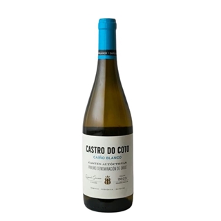 Castro do Coto Caíño - Imagen 1