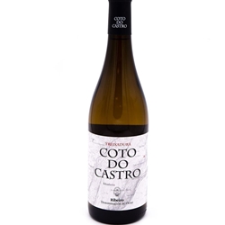 Castro do Coto Treixadura - Imagen 1