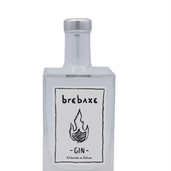 Ginebra Brebaxe - Imagen 1