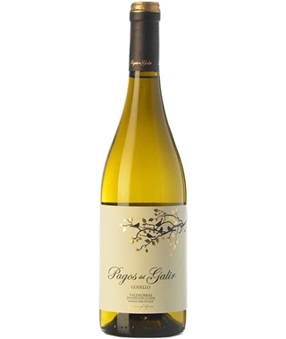 Pagos del Galir Godello - Imagen 1