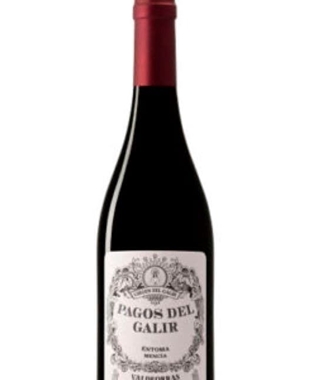 Pagos del Galir, Roble Mencía - Imagen 1