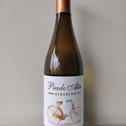 Prado Alen Albariño Caja 6 bot - Imagen 1